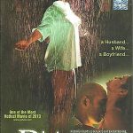 THE DIRTY RELATION - MOST HOTEST MOVIE OF 2013 -  BOLLYWOOD DVD - FREE UK POST