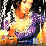 MARKET - MANISHA KOIRALA, ARYAN VAIDYA - NEW BOLLYWOOD DVD - MULTI SUBTITLES