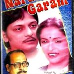 NARAM GARAM - AMOL PALEKAR, SWAROOP SAMPAT- BRAND NEW BOLLYWOOD DVD