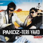 PAKOZ - TERI YAAD - BRAND NEW UK BHANGRA CD