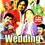 TOP 24 WEDDING BHANGRA HITS - NEW 3 CD SET