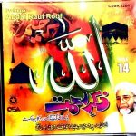 ABDUL RAUF ROOFI - ZIKR - E - RAHMAT - NEW ZIKR CD VOL 24 - FREE UK POST