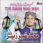 MUHAMMAD UMAIR ZUBAIR QADRI - TERI SHAAN WAH WAH - VOL 8 - NEW  NAAT CD