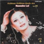 NASEEBO LAL - VICHHRAN VICHHRAN KARDA AEN - VOL 34 - BRAND NEW CD