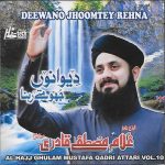 SOHNE AAQA DI WILADAT HO GAYI - HAFIZ AHMED RAZA QADRI VOL. 7 - NEW NAAT CD