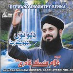 DEEWANO JHOOMTEY REHNA - AL HAJJ GHULAM MUSTAFA QADRI - VOL 10 - NEW NAAT CD