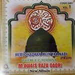 MOHAMMAD AWAIS RAZA QADRI - VOL 1 - MERI DHADKAN MEIN YA NABI - FREE UK POST