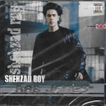 SHEHZAD ROY - RAB JANEY - BRAND NEW SOUND TRACK CD - FREE UK POST