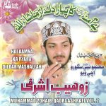 MUHAMMAD ZOHAIB QADRI ASHRAFI - HAI AAMINA KA PYARA DILDAR - VOL 2 - NEW NAAT CD
