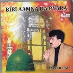 BIBI AMNA DA PYARA - ANWAR RAFI - NEW NAAT CD - FREE UK POST