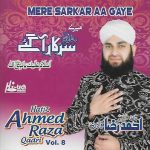 HAFIZ AHMED RAZA QADRI VOL 8 - MERE SARKAR AA GAYE -  NEW NAAT CD - FREE UK POST