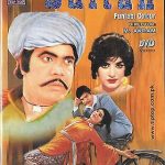 SULTAN - PUNJABI - NEW PAKISTANI FILM DVD - FREE UK POST