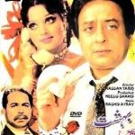 BAHISHT - (URDU)  - NEW ORIGINAL LOLLYWOOD DVD – FREE UK POST