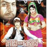 APNEY HUEY PRAAEY (URDU)COLOR - LOLLYWOOD DVD – FREE UK POST