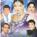 TERA JAWAB NAHI - NEW PUNJABI COMEDY STAGE DRAMA DVD - FREE UK POST