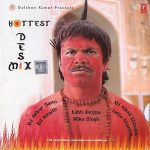 HOTTEST DESI MIX - BRAND NEW BOLLYWOOD MUSIC CD - FREE UK POST