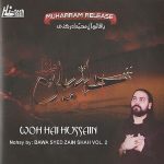 BAWA SYED ZAIN SHAH VOL. 2 - WOH HAI HUSSAIN - BRAND NEW NOHA / NOHAY CD