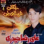 ALI RAZA HAIDERI - BEKAFAN GHAREEB UL -2010 - VOL 4-NOHAY - CARD BOARD COVER DVD