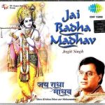 JAGJIT SINGH . JAI RADHA MADHAV - NEW BOLLYWOOD SA RE GA MA CD