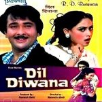 DIL DIWANA - RANDHIR KAPOOR, JAYA BADHURI  - NEW BOLLYWOOD DVD – ENGLISH SUBS