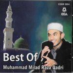 BEST OF MUHAMMAD MILAD RAZA QADRI - BRAND NEW NAAT CD - FREE UK POST