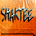 SOMETHING OLD SOMETHING NEW - SHAKTEE - NACHURAL RECORDS BHANGRA CD - MADE IN UK