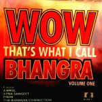 WOW THAT'S WHAT I CALL BHANGRA - APNA SANGEET & OTHERS -NEW AUDIOREC BHANGRA CD