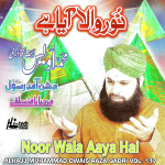 OWAIS RAZA QADRI - NOOR WALA AAYA HAI -  VOL117 - NEW ISLAMIC NAAT CD