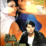 NIKKI JAEE HAAN- MOUMAR RANA - SAIMA -REEMA -NEW ORIGINAL LOLLYWOOD  DVD