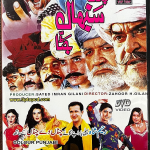 PAGRI SAMBAAL JUTTA -SHAN- PUNJABI - NEW ORIGINAL LOLLYWOOD DVD