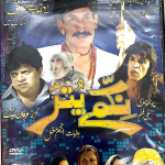 NIKAMMAY PUTTAR- NEW PAKISTANI COMEDY POTHWARI TELE DRAMA - FREE UK POST