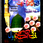 BIBI AAMNA KE PHOOL - SADAQAT HUSSAIN - BRAND NEW UK NAAT CASSETTE