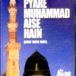 MOHD RASHID AZAM - PYARE MUHAMMAD AISE HAIN - BRAND NEW UK NAAT AUDIO CASSETTE