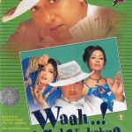 WAAH TERA KYA KEHNA - GOVINDA - RAVEENA TANDON - PREETI - NEW BOLLYWOOD DVD
