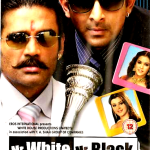 MR WHITE MR BLACK - SUNIL SHETTY, ARSHAD WARSI - NEW BOLLYWOOD DVD -ENGLISH SUBS