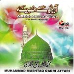 MUHAMMAD MUSHTAQ QADRI ATTARI - ARZOO E MADINA - VOL 14 - NEW NAAT CD