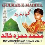 MUHAMMAD HAMZA KHALID - GULHAR - E - MADINA - VOL 1 - NEW NAAT CD - FREE UK POST