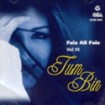 FAIZ ALI FAIZ - TUM BIN - VOL10 - NEW CD - FREE UK POST