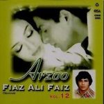 FAIZ ALI FAIZ  - ARZOO - NEW SOUND TRACK CD SONGS - FREE UK POST