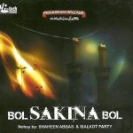 NOHAY BY SHAHEEN ABBAS & SIALKOT PARTY / BOL SAKINA BOL - NEW CD - FREE UK POST