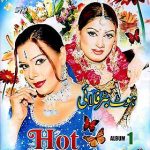 HOT BUTTERFLY - NEW LOLLYWOOD MUSIC DVD VOL 1 – FREE POST UK