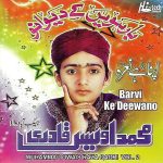 MUHAMMAD OWAIS RAZA QADRI - BARVI KE DEEWANO VOL 2 - NEW NAAT CD - FREE UK POST