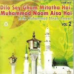 HAFIZ MUHAMMAD AHSAN AMEEN - DILO SEY GHAM MITATHA HAI VOL 2 - NEW NAAT CD