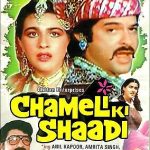CHAMELI KI SHAADI - ANIL KAPOOR, AMRITA S - NEW BOLLYWOOD DVD –ENGLISH SUBTITLES